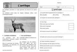 L’antilope - Lecture documentaire - Compréhension : 3eme Harmos - PDF à imprimer