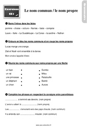 Le nom commun et le nom propre - Exercices, révisions : 4ème Harmos - PDF à imprimer