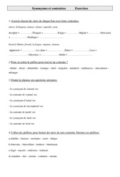 Synonymes et contraires - Exercices - Vocabulaire : 7ème Harmos - PDF à imprimer