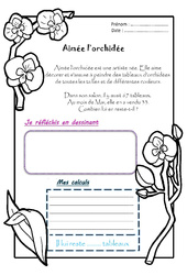 Aimée l’orchidée - 1 histoire 1 problème : 4ème Harmos - PDF à imprimer