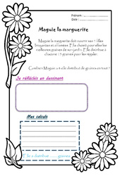 Maguie la marguerite - 1 histoire 1 problème : 4ème Harmos - PDF à imprimer