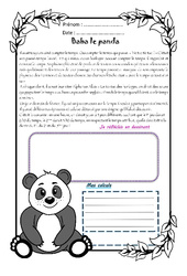 Baba le panda - 1 histoire 1 problème : 7ème Harmos - PDF à imprimer