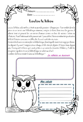 Loulou le hibou - 1 histoire 1 problème : 6ème Harmos - PDF à imprimer