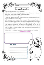 Rochon cochon - 1 histoire 1 problème : 6ème Harmos - PDF à imprimer