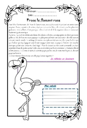 Prose le flamant rose - 1 histoire 1 problème : 7ème Harmos - PDF à imprimer