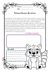 Ratone laveur de vitres - 1 histoire 1 problème : 7ème Harmos - PDF à imprimer