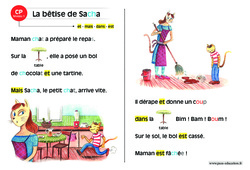 La bêtise de Sacha - Lecture compréhension - Histoire illustrée - Niveau 1 : 3eme Harmos - PDF à imprimer