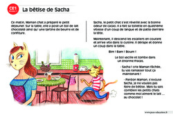 La bêtise de Sacha - Lecture compréhension - Histoire illustrée - Niveau 1 : 4ème Harmos - PDF à imprimer