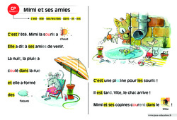 Mimi et ses amies - Lecture compréhension - Histoire illustrée - Niveau 1 : 3eme Harmos - PDF à imprimer