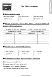 Les déterminants - Exercices, révisions : 4ème Harmos - PDF à imprimer