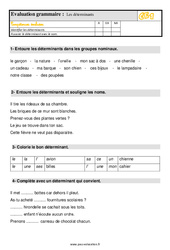 Les déterminants - Évaluation, bilan : 4ème Harmos - PDF à imprimer