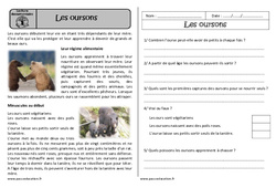 Les oursons - Lecture documentaire - Compréhension : 4ème Harmos - PDF à imprimer