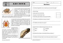 Les poux - Lecture documentaire : 4ème Harmos - PDF à imprimer