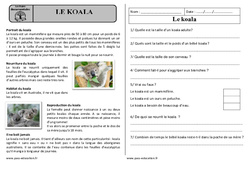 Le koala - Lecture documentaire : 4ème Harmos - PDF à imprimer