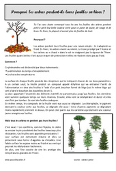 Pourquoi les arbres perdent - ils leurs feuilles - Lecture documentaire : 5ème Harmos - PDF à imprimer