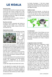 Koala - Lecture compréhension : 6ème, 7ème Harmos - PDF à imprimer