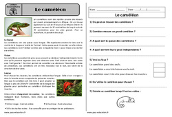 Le caméléon - Lecture documentaire : 4ème Harmos - PDF à imprimer