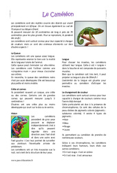 Caméléon - Lecture compréhension : 5ème Harmos - PDF à imprimer