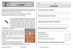 Fourmi - Lecture documentaire : 4ème Harmos - PDF à imprimer