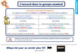 Accord dans le groupe nominal - Cours, Leçon, trace écrite : 5ème Harmos - PDF à imprimer