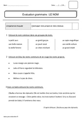 Nom propre et nom commun - Bilan : 4ème Harmos - PDF à imprimer