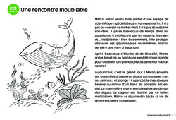 Une rencontre inoubliable - Lecture compréhension - Histoire illustrée - Niveau 2 : 4ème Harmos - PDF à imprimer