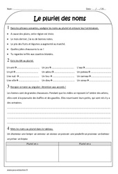 Pluriel des noms - Exercices  : 5ème Harmos - PDF à imprimer