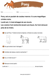 Pony - Récit - Lecture : 3eme Harmos - PDF à imprimer