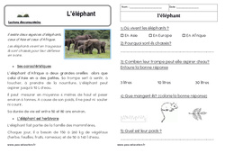 L’éléphant - Lecture documentaire : 3eme Harmos - PDF à imprimer