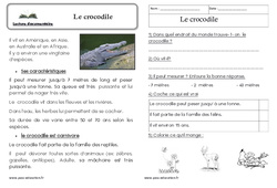 Le crocodile - Texte informatif - Lecture : 3eme Harmos - PDF à imprimer