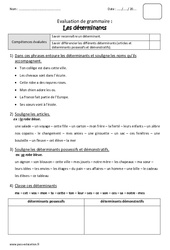 Déterminants - Bilan  : 5ème Harmos - PDF à imprimer