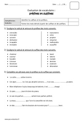 Préfixes - Suffixes - Bilan : 5ème Harmos - PDF à imprimer