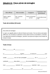 Verbe  du 3e groupe au futur - L’accord déterminant / nom - Dictée préparée - A trous : 5ème Harmos - PDF à imprimer