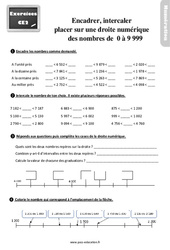 Encadrer, intercaler placer sur une droite numérique des nombres de 0 à 9 999 - Exercices : 5ème Harmos - PDF à imprimer