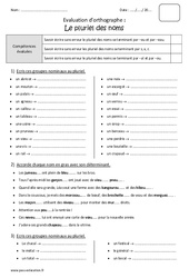 Pluriel des noms - Bilan avec le corrigé : 6ème Harmos - PDF à imprimer