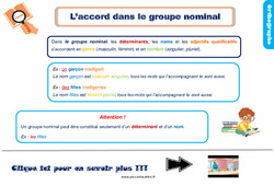 L’accord dans le groupe nominal - Cours, Leçon, trace écrite : 4ème Harmos - PDF gratuit à imprimer