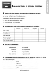 L'accord dans le groupe nominal - Exercices, révisions : 4ème Harmos - PDF à imprimer