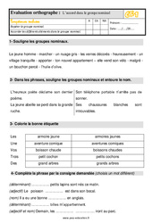 L’accord dans le groupe nominal - Évaluation, bilan : 4ème Harmos - PDF à imprimer