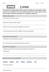 an - en - Dictée accompagnée n°2 : 5ème Harmos - PDF à imprimer