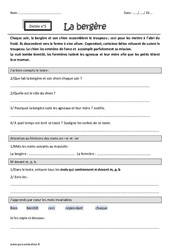 Exercice La bergère - m devant m, p, b - Dictée accompagnée n°5 : 6ème Harmos - Cycle 3 - PDF à imprimer