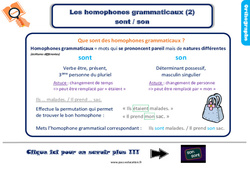 Les homophones grammaticaux sont / son - Cours, Leçon, trace écrite : 5ème Harmos - PDF à imprimer