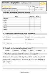 Le singulier / pluriel du nom - Évaluation, bilan : 4ème Harmos - PDF à imprimer
