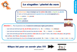 Le singulier / pluriel du nom - Cours, Leçon, trace écrite : 4ème Harmos - PDF gratuit à imprimer