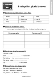 Le singulier / pluriel du nom - Exercices, révisions : 4ème Harmos - PDF à imprimer