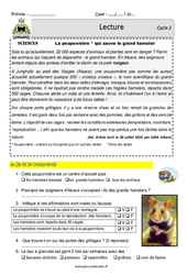 Pouponnière et le grand hamster - Lecture - EDL : 4ème, 5ème Harmos - PDF à imprimer