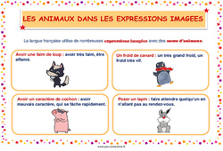 Les animaux dans les expressions imagées - Affiche de classe : 3eme, 4ème Harmos - PDF à imprimer