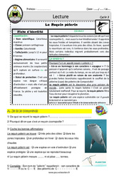 Le Requin pèlerin - Lecture - EDL - Décrochage scolaire : 6ème, 7ème, 8ème Harmos - PDF à imprimer