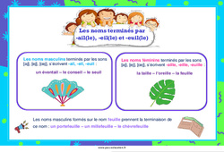 Les noms terminés par - ail(le), - eil(le) et - euil(le) - Affiche : 4ème, 5ème, 6ème, 7ème Harmos - PDF à imprimer