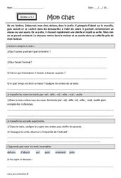 Exercice Mon chat - Noms terminés par - ail, - aille, - eil, - eille, - euil, - euille - Accords sujet - verbe - Dictée accompagnée n°12 : 6ème Harmos - Cycle 3 - PDF à imprimer