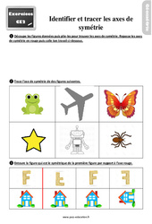 Identifier et tracer des axes de symétrie - Exercices, révisions : 5ème Harmos - PDF à imprimer